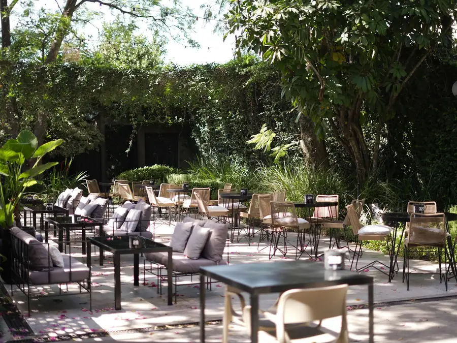 Sillones del jardín entre plantas